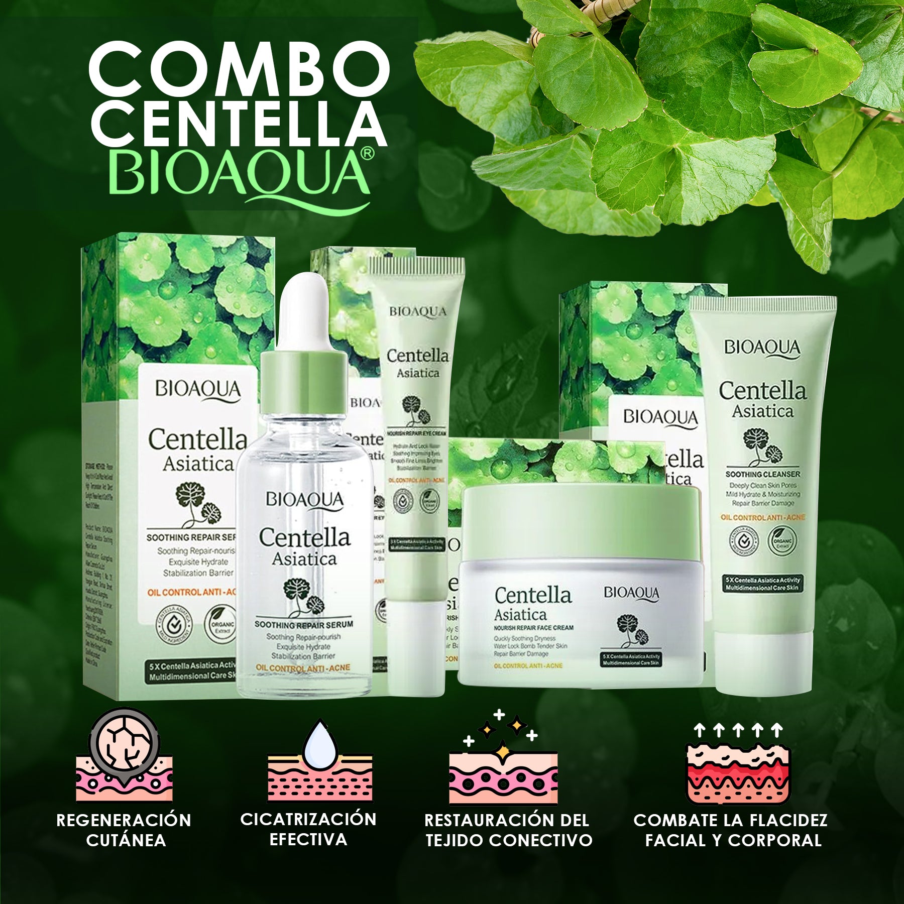 Combo Centella Asiática X5 Caja de Lujo Bioaqua